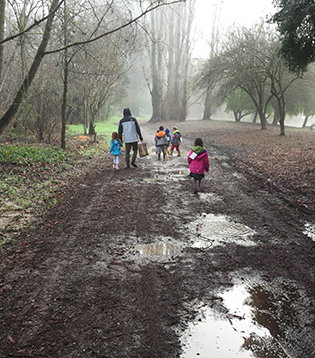 Muddy Walk Muddy Walk